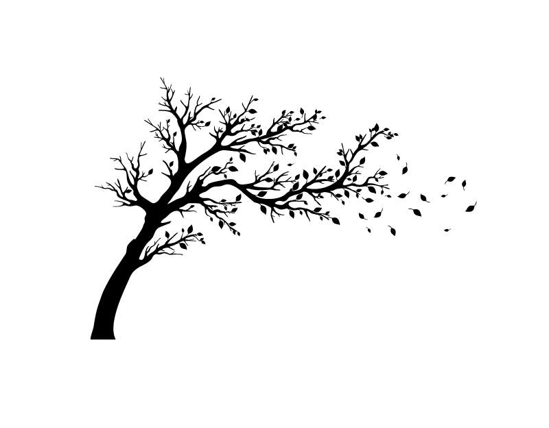 Podzimní strom - samolepka na zeď