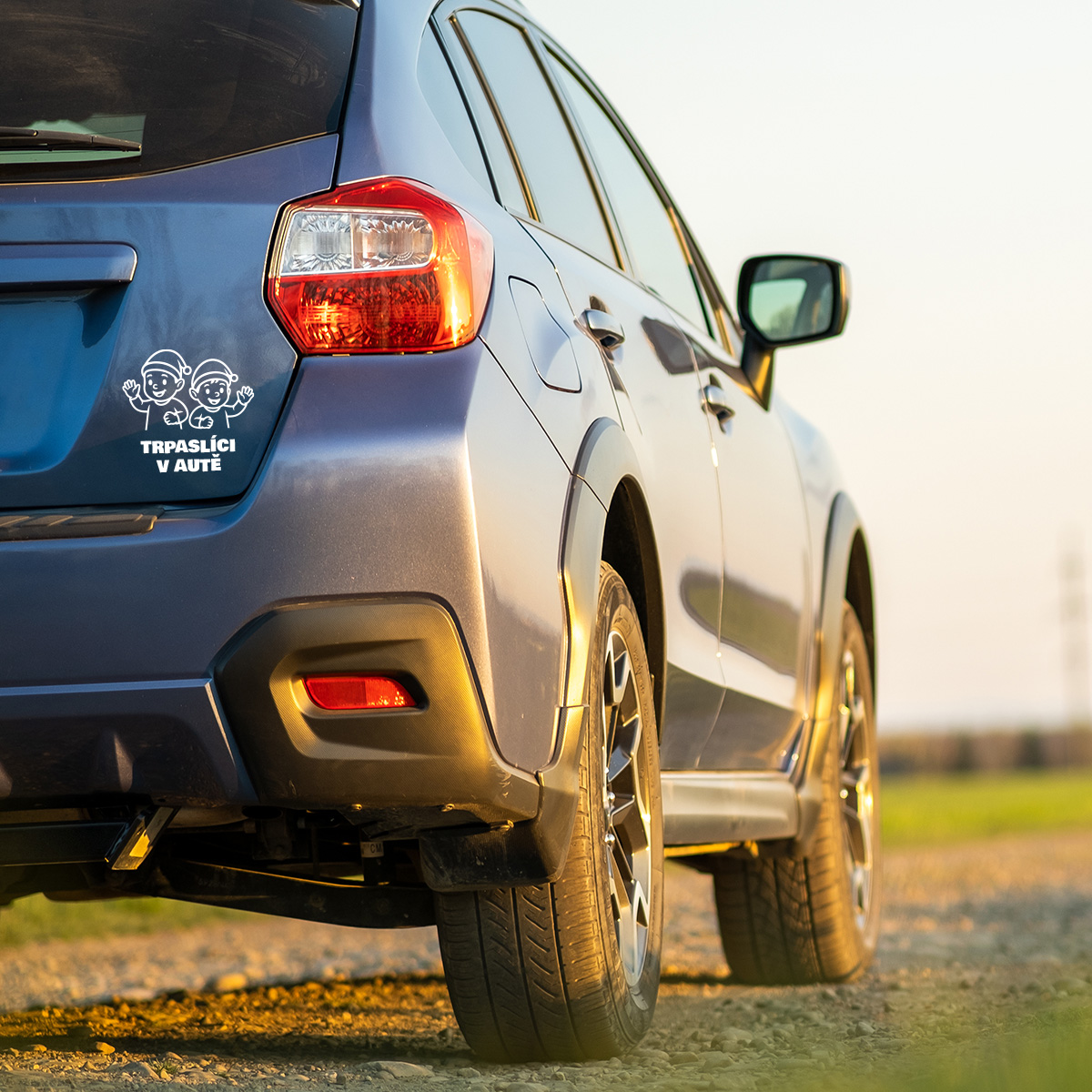 Trpaslíci v autě - samolepka na auto (dítě v autě)
